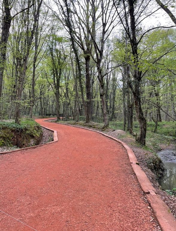 belgrad ormanı yürüyüş parkuru